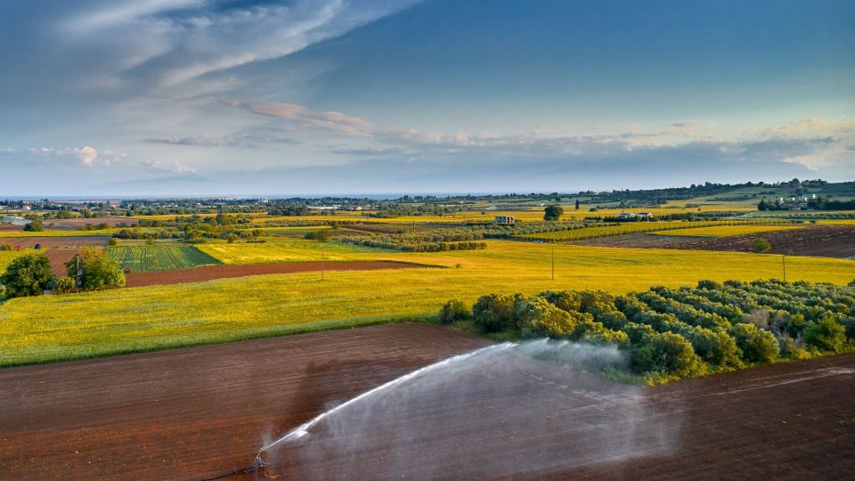 NERO, POTISMA, MPEK, KALLIERGEIES