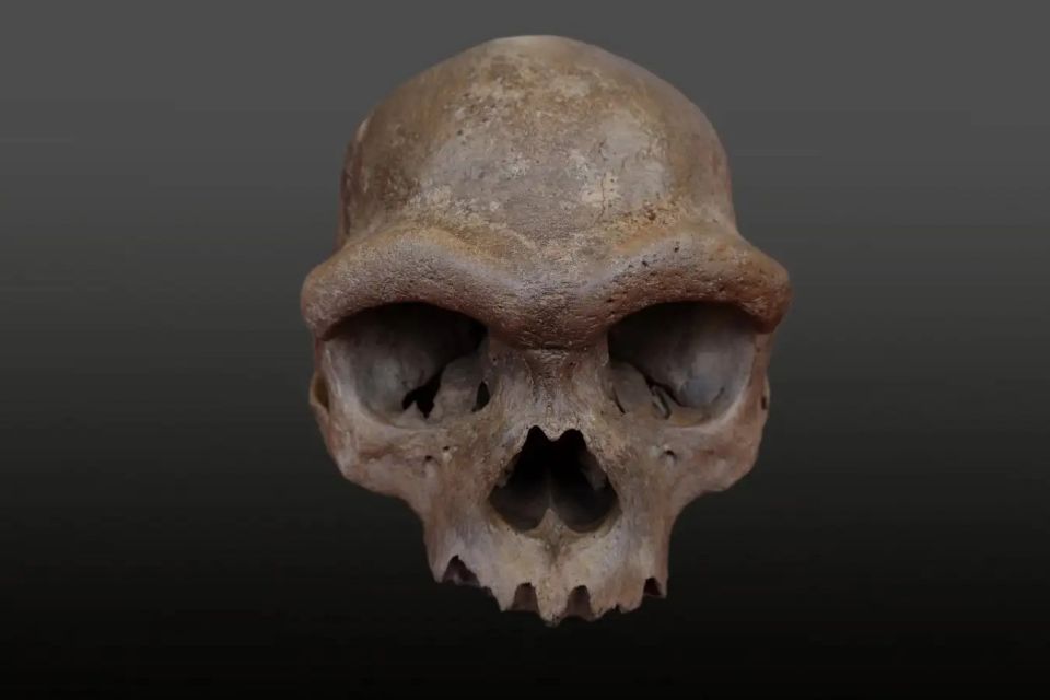 denisovan1.jpg