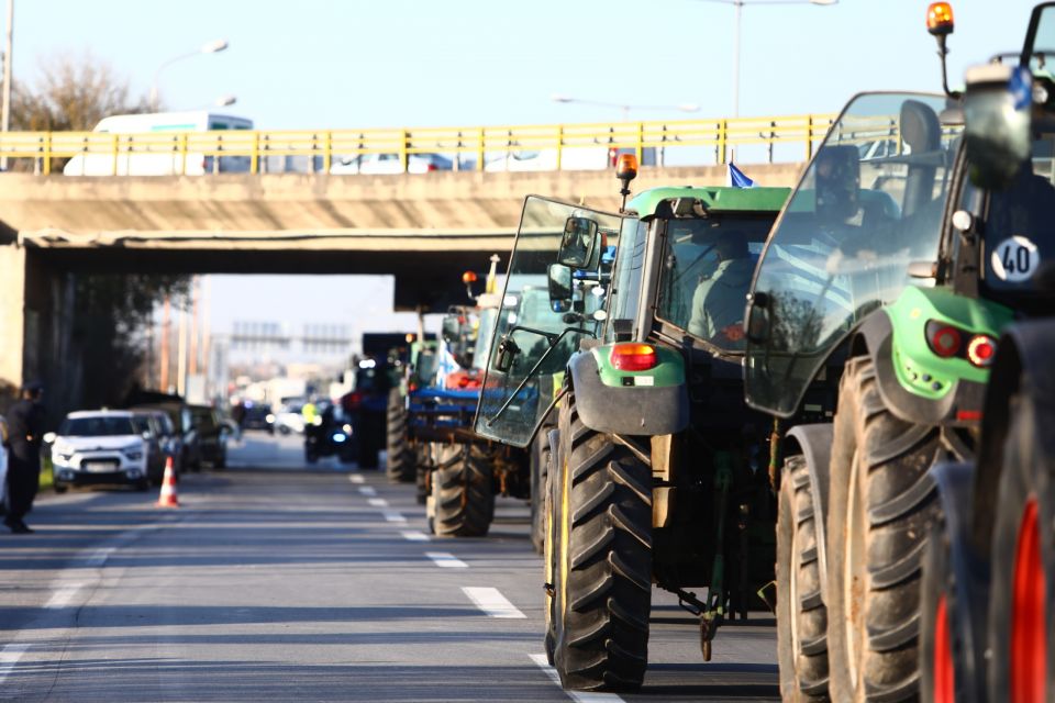 Agrotes bloka prasina fanaria