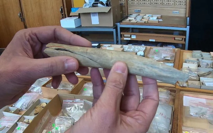 Νεάντερταλ