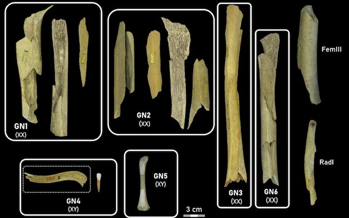 Νεάντερταλ