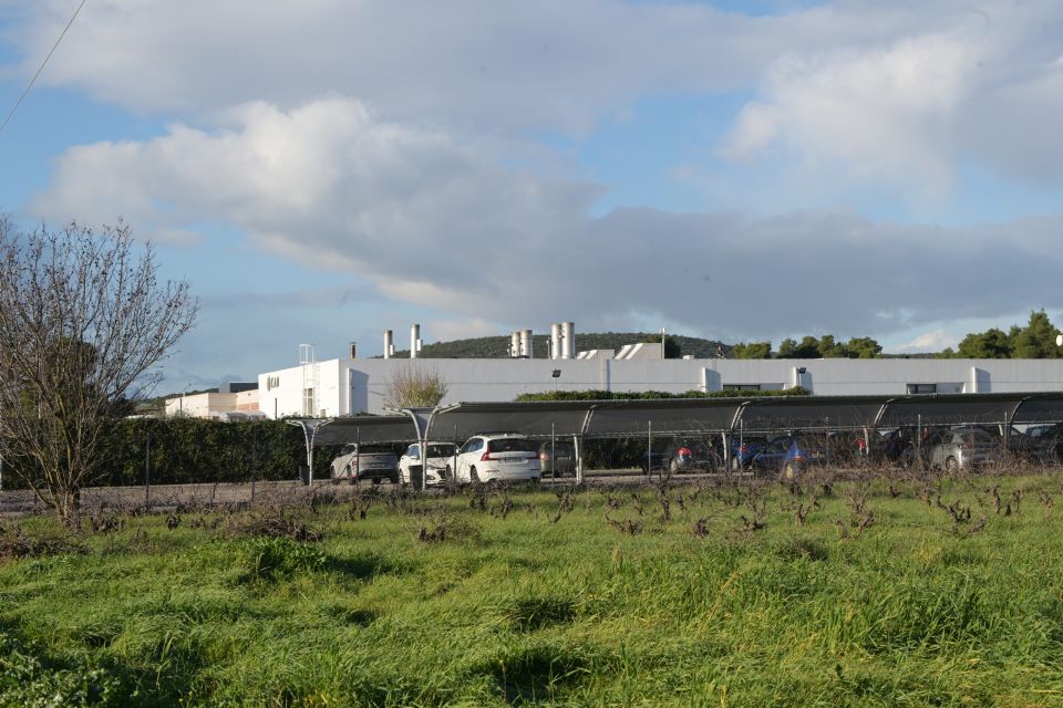 giorgos papadakis kidia