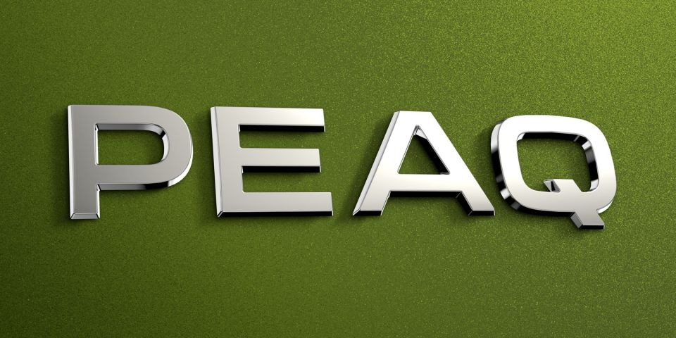 skoda-peag-logo.jpg