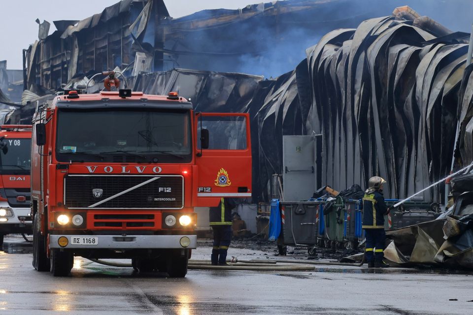 Pyrkagia trikala ergostasio violanta 