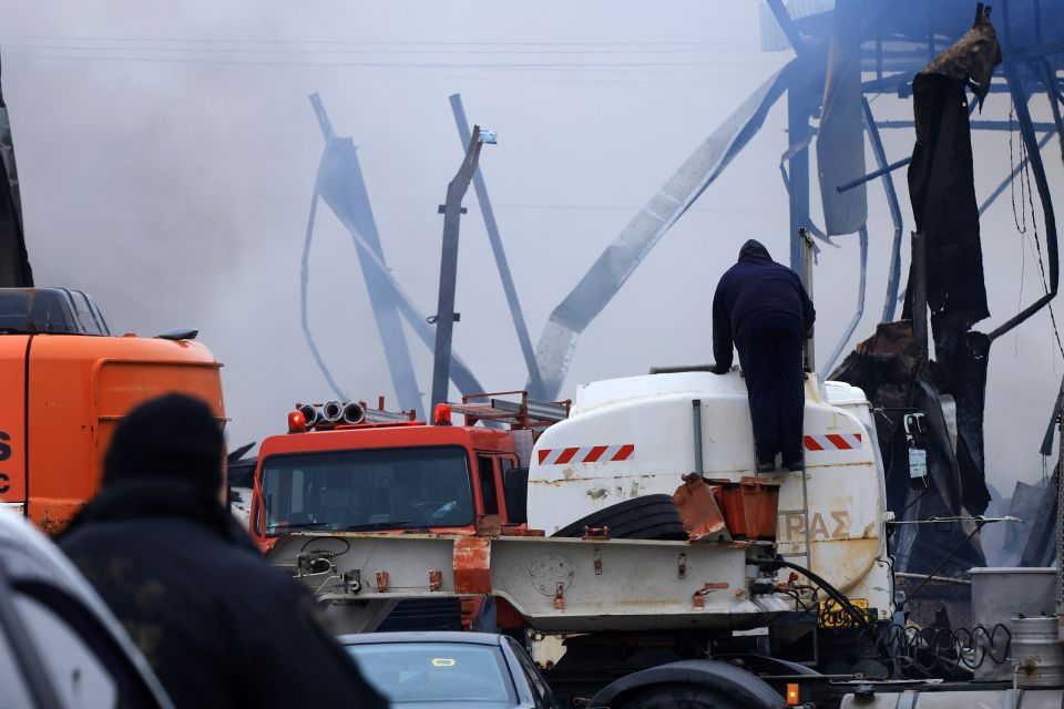 trikala fotia violanta