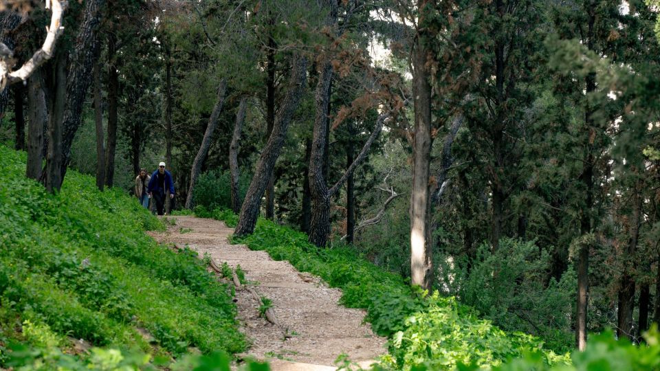 lykabbhtos, likavitos