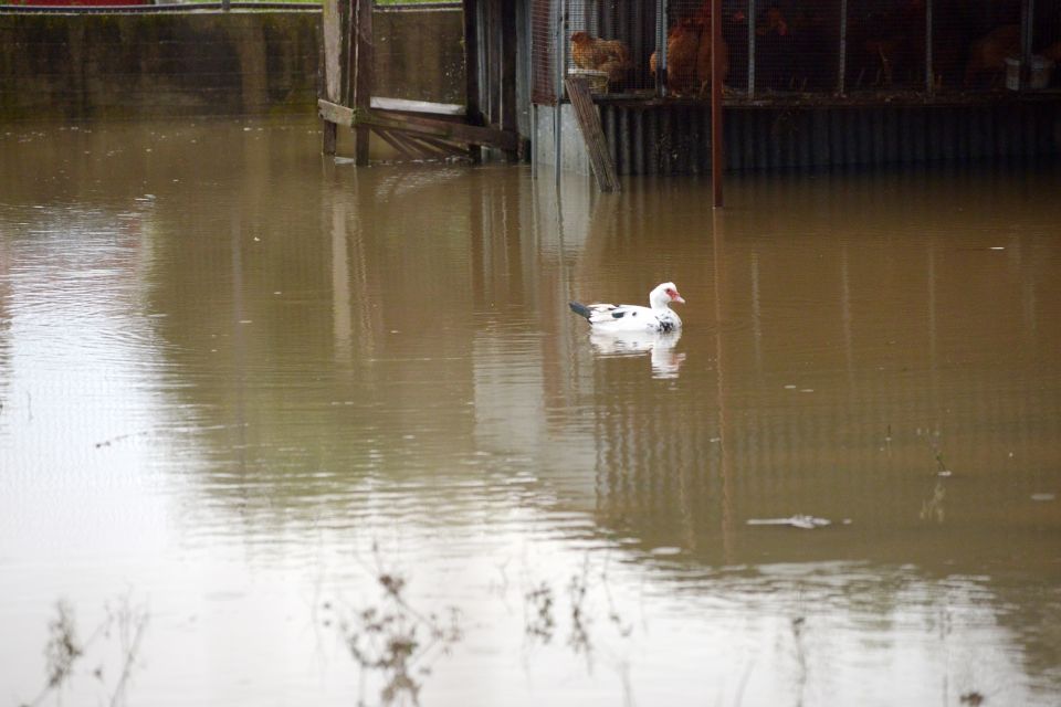 kakokairia plimmires pyrgos