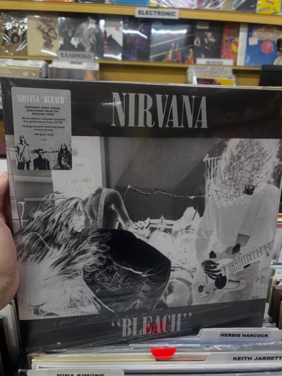 nirvana discobole