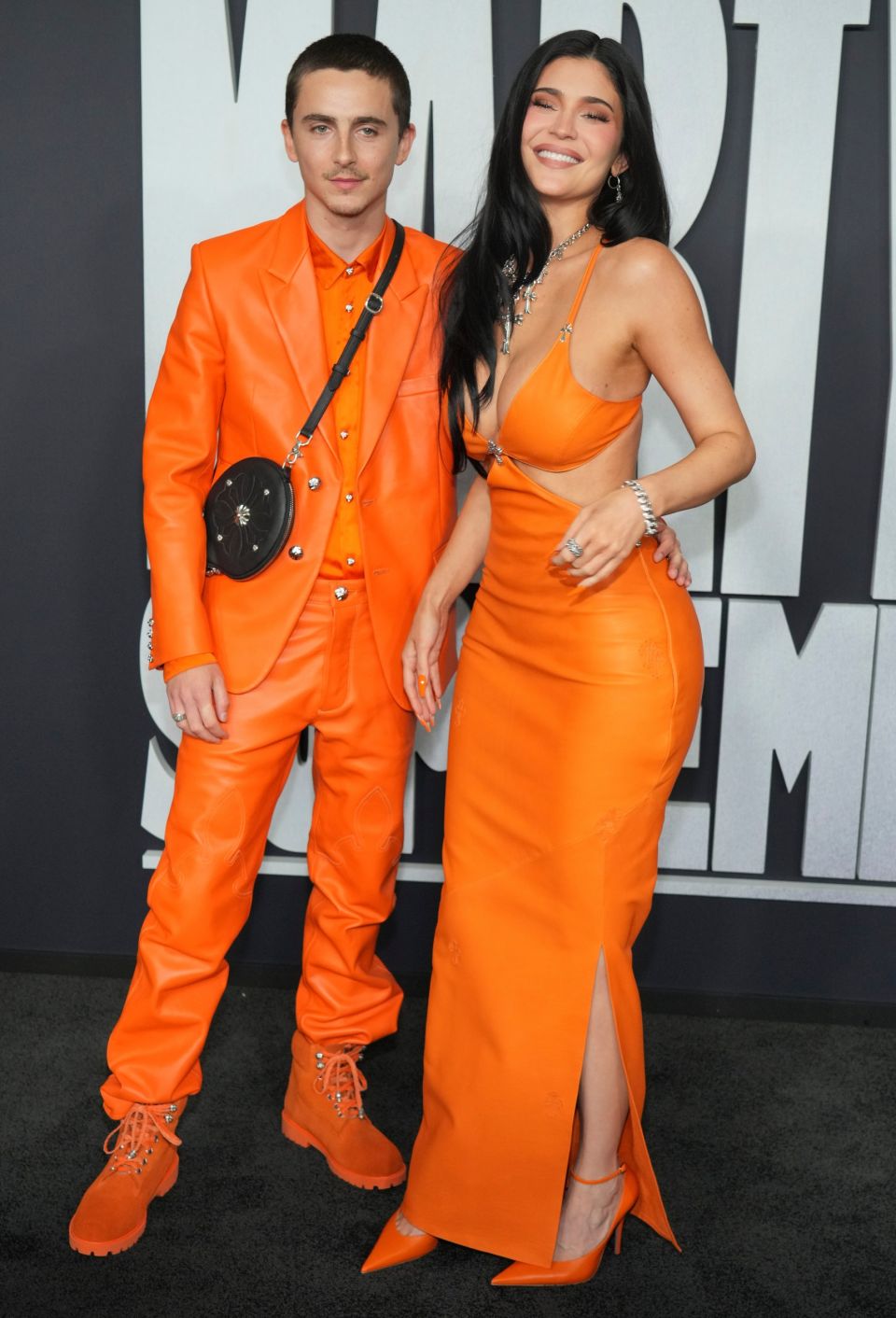 Timothee Chalamet,Kylie Jenner
