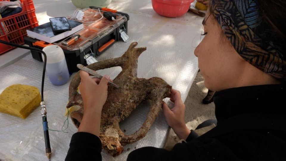 karpathos, ereuna, enalia