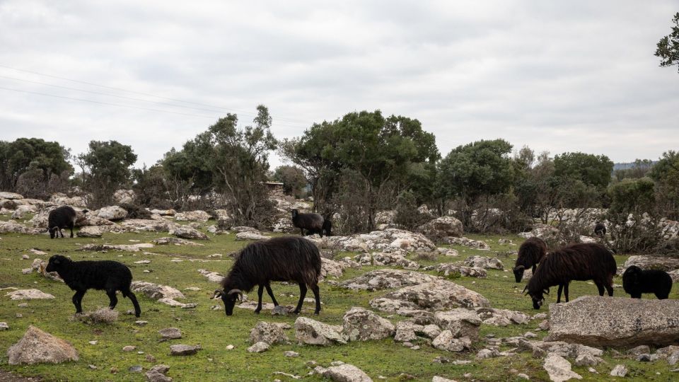 αποδεικτικά στοιχεία
