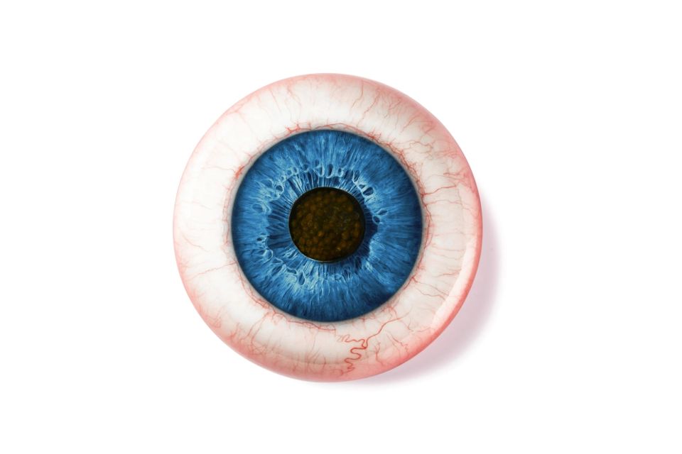 1984-blue-preview.jpg