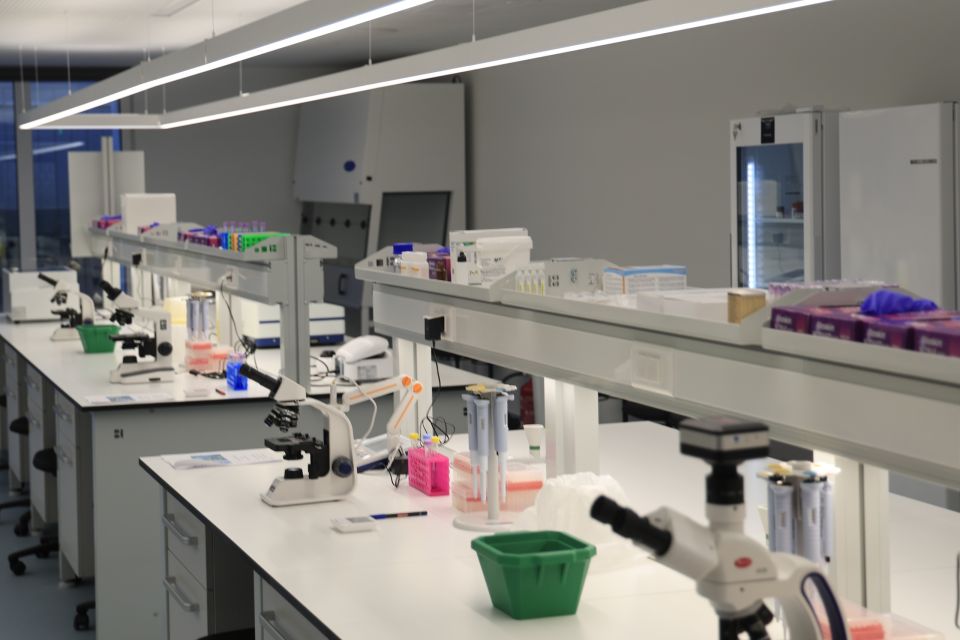 panepistimio lefkosias