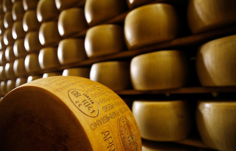 Italy Parmesan 