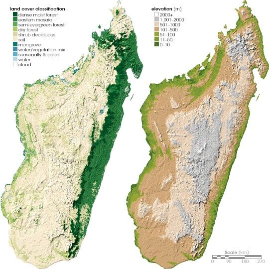 madagascartopo.jpg