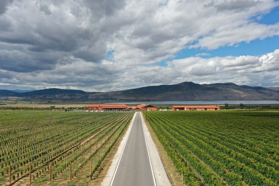 02vineyard-winery.jpg