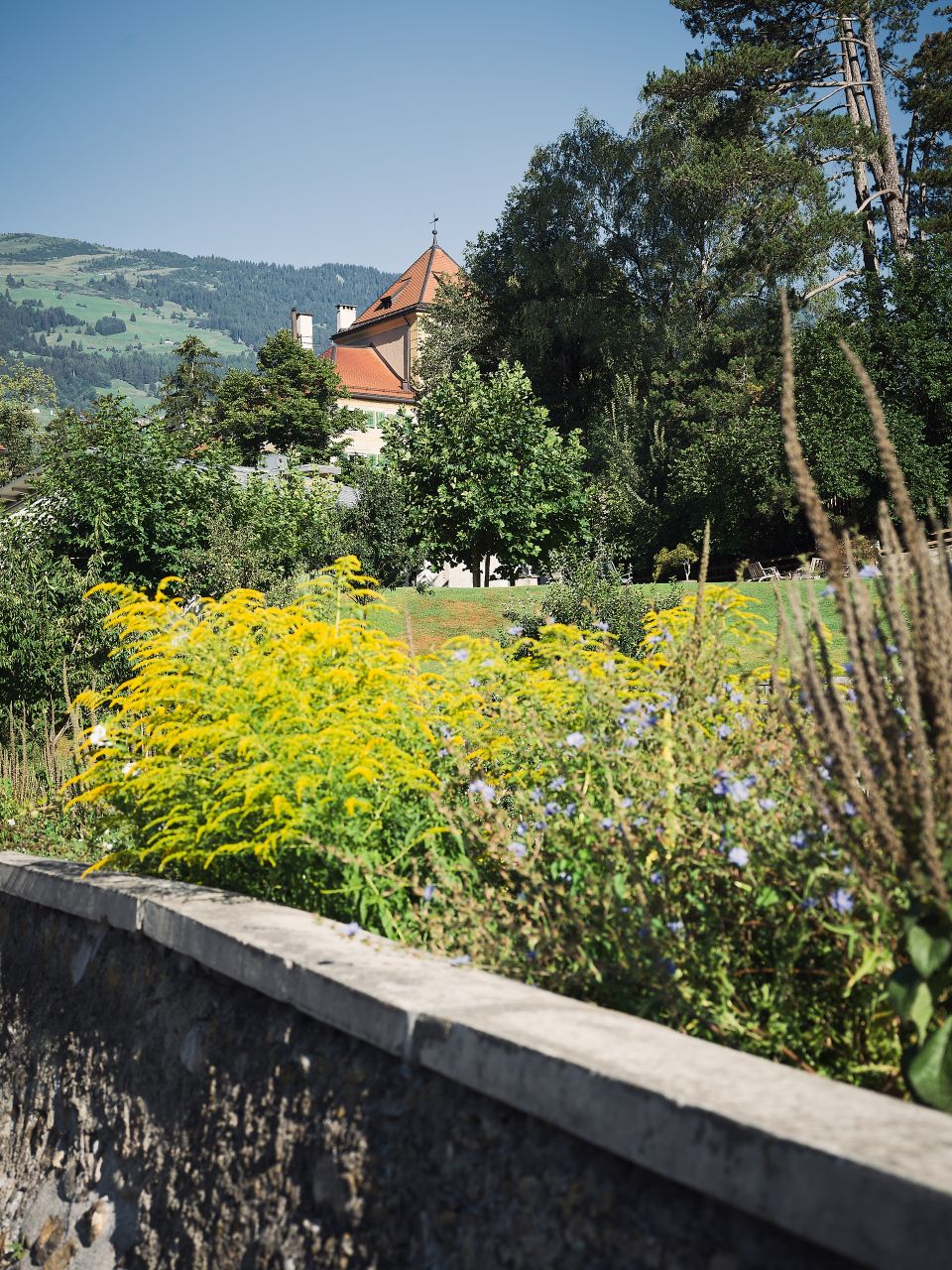 danuser240815090423.jpg