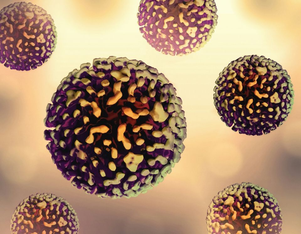 virus