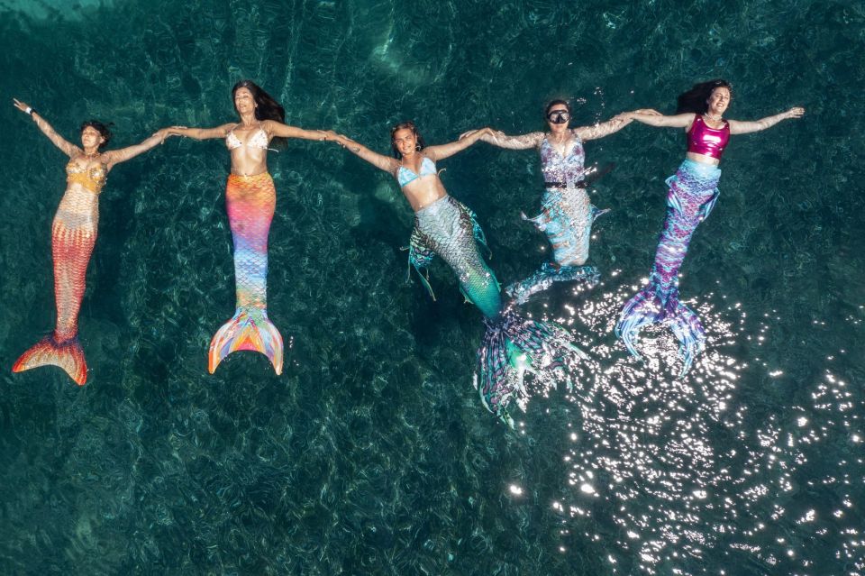 sea-adventurers.jpg