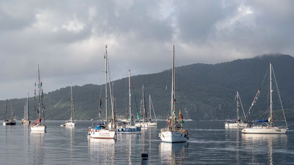Flotilla, sumud