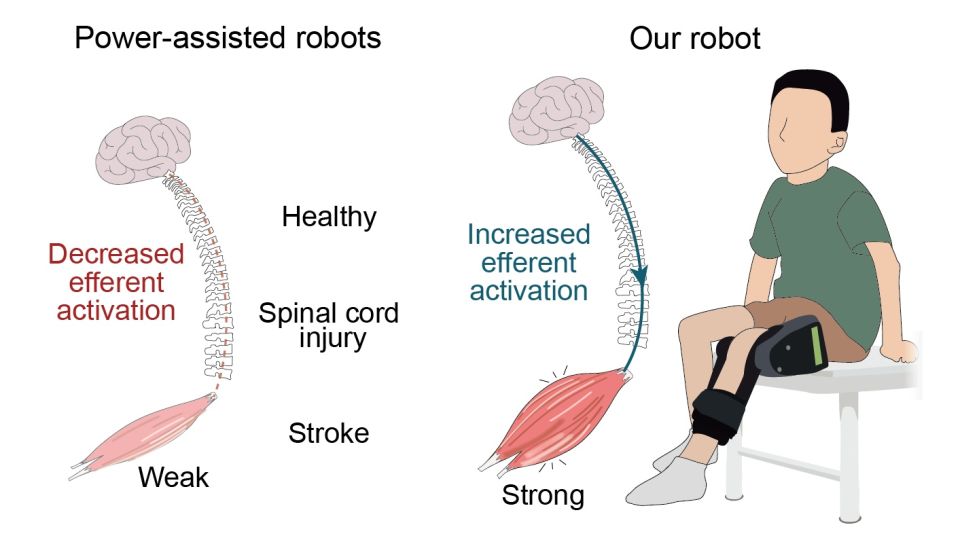 assistive versus resistive