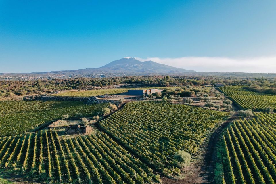 iddawinery3.jpg