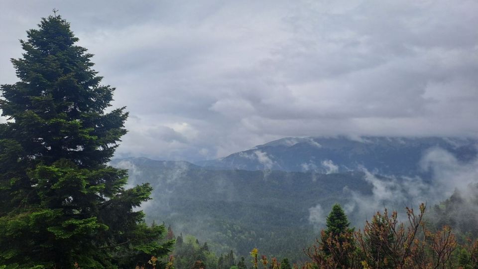 pezoporia, oreibasia, hike, koziakas