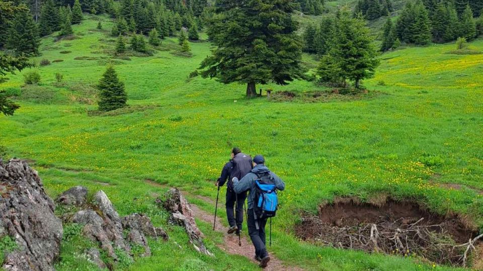pezoporia, oreibasia, hike, koziakas