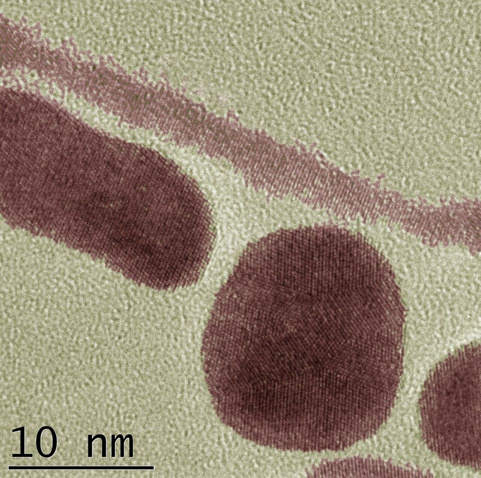 temimageofgoldnanoparticlesandnanorods.jpg