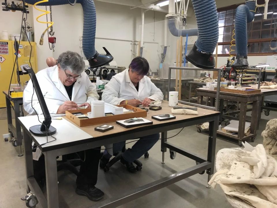 dinosaur-institute-volunteers-richard-hayes-and-anne-baker-hayes-preparing-hayden-quarry-ghost-ranch-fossils-scaled.jpg
