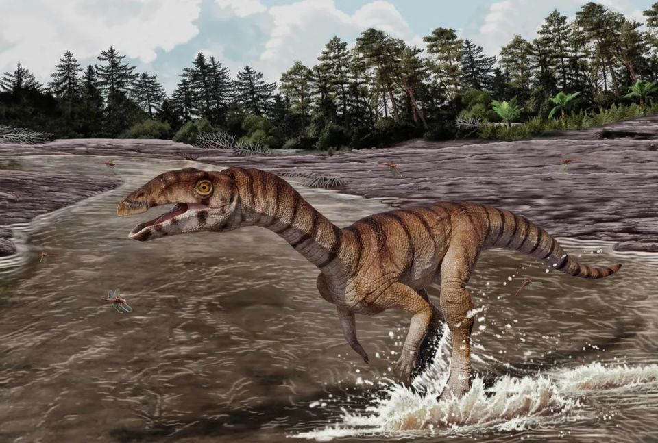 labrujasuchus-expectatus-scaled.jpg