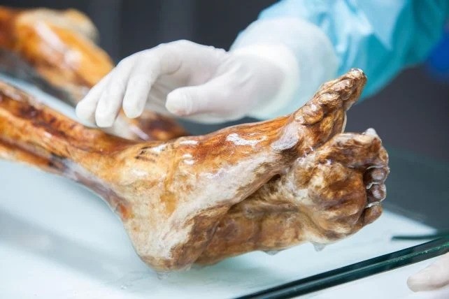otzi-feet.jpg