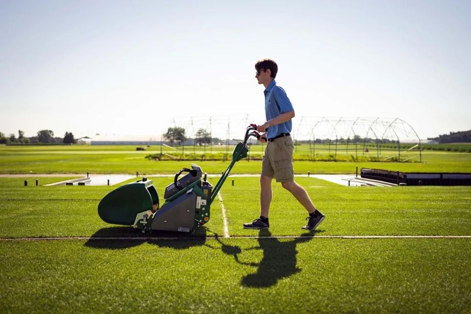 football-grass-science-2.jpg
