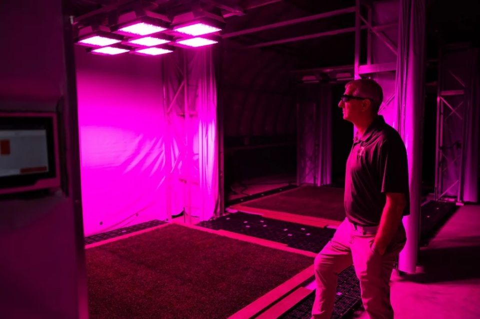 led-grass.jpg