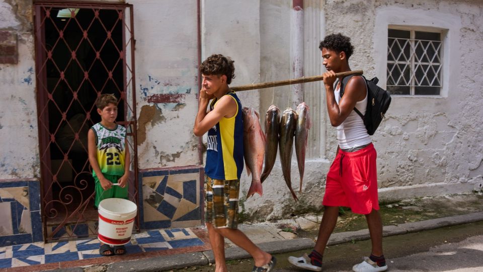 Cuba kouba
