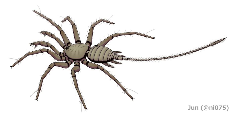 1280px-20200828chimerarachneyingi.jpg