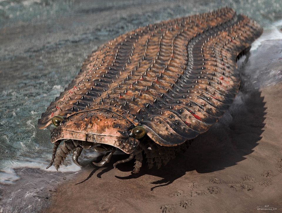 1280px-arthropleurareconstruction.jpg