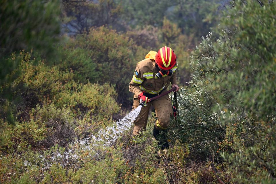 ΠΥΡΚΑΓΙΑ ΣΕ ΔΑΣΙΚΗ ΕΚΤΑΣΗ ΣΤΗΝ ΠΕΡΙΟΧΗ ΣΚΑΛΩΜΑ ΛΟΥΤΡΑΚΙΟΥ ΚΟΡΙΝΘΙΑΣ