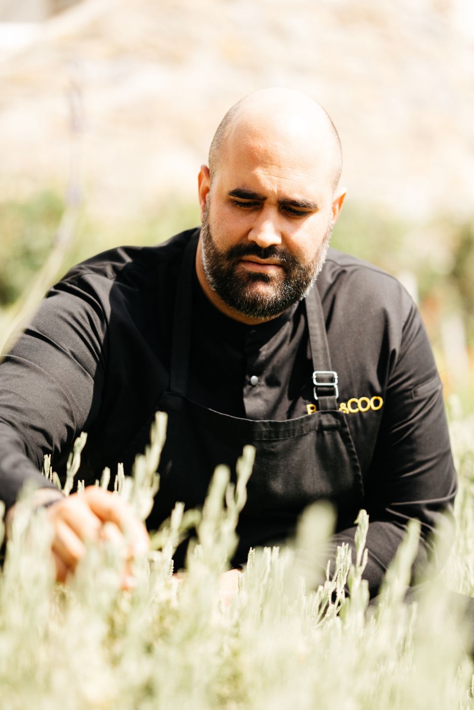 billandcoo-yevo-executive-chef-aggelos-bakopoulos.jpg