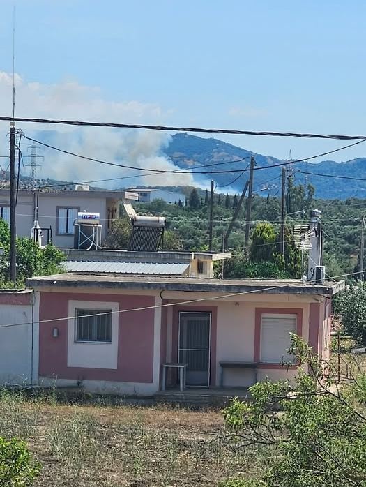 fotia-axaia.jpg