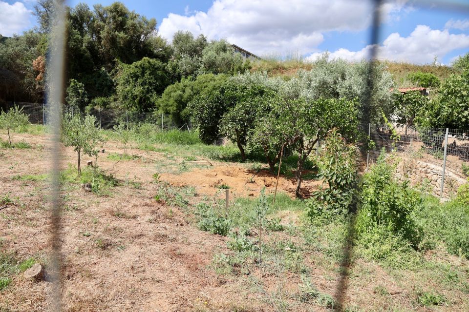 ΒΡΕΘΗΚΕ Η ΣΩΡΟΣ ΤΗΣ ΕΞΑΦΑΝΙΣΜΕΝΗΣ ΣΤΑΥΡΟΥΛΑΣ ΛΕΒΕΝΤΑΚΗ ΘΑΜΜΕΝΗ ΣΕ ΧΩΡΑΦΙ ΣΤΑ ΧΑΝΙΑ