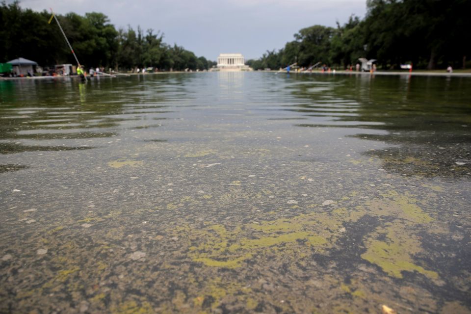 Lincoln Memorial Reflecting Pool