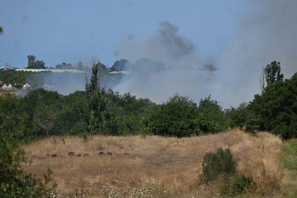 ΦΩΤΙΑ ΒΑΡΔΑ ΗΛΕΙΑΣ 