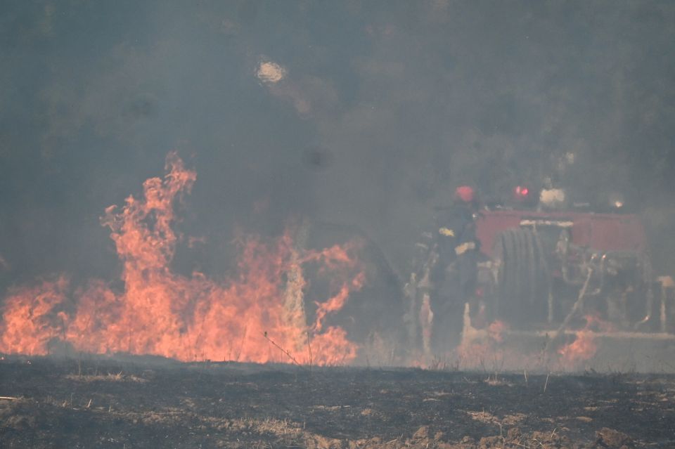 Συνεχείς αναζωπυρώσεις στη φωτιά στη Βάρδα Ηλείας - Κάηκαν λιοστάσια, κινδύνεψε εκκλησάκι
