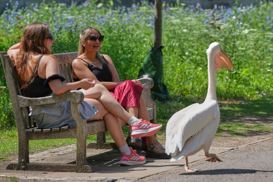 Britain Heatwave