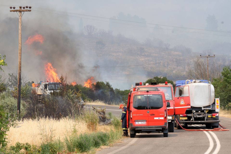 ΠΥΡΚΑΓΙΑ ΣΕ ΑΓΡΟΤΟΔΑΣΙΚΗ ΕΚΤΑΣΗ ΣΤΗ ΦΘΙΩΤΙΔΑ