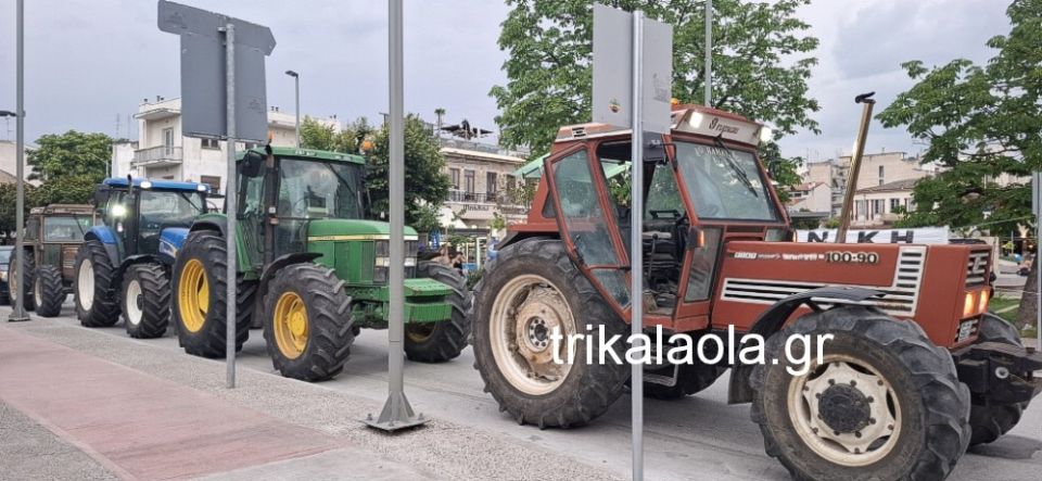 agrotes-1.jpg