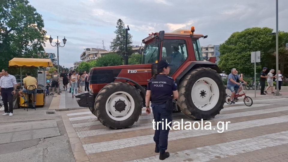 agrotes-7.jpg