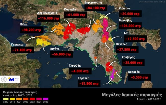 Κάηκε το 38% των δασών της Αττικής μέσα σε εννέα χρόνια - 700.000 στρέμματα έγιναν στάχτη