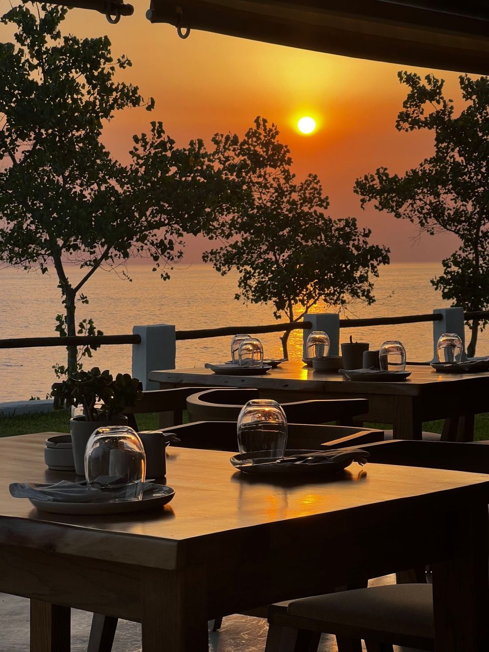 1783512215168-274042513-image0.jpg